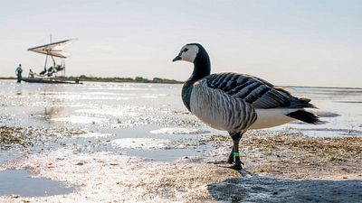 Descubre las espectaculares imágenes de 'Volando juntos' con este precioso avance noticias imagen