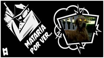 Mataría por ver… Una continuación de 'Pesadillas' (con el mismo tufillo noventero) noticias imagen