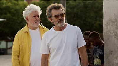 'Dolor y gloria', de Pedro Almodóvar, arrasa en los Premios Platino noticias imagen