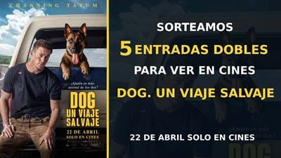 Sorteamos 5 entradas dobles para ver ‘Dog. Un viaje salvaje’ en cines