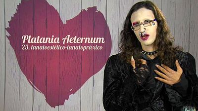 Las citas más locas de First Dates: Leticia Sabater, actores porno y pretendientas a la fuga noticias imagen