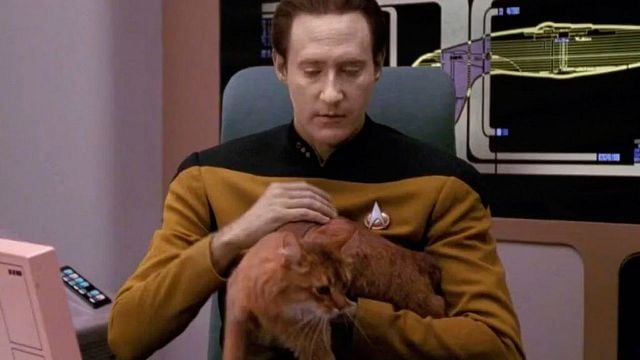 Hemos aceptado durante 30 años este error de 'Star Trek' sin cuestionarlo: Algo no encaja con el gato de Data noticias imagen