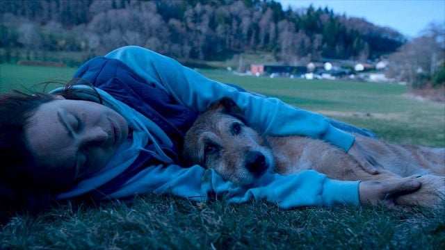 "¿Cómo se juzga a un perro: como adolescente, persona con trastorno mental o como drogadicto?": llega a cines una película que te planteará muchas preguntas noticias imagen
