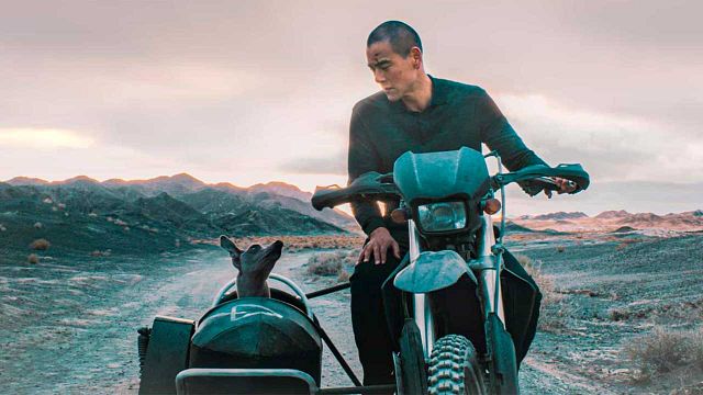 "Bella, dolorosa y melancólica": uno de los estrenos del año aterriza esta semana en las salas de cine noticias imagen