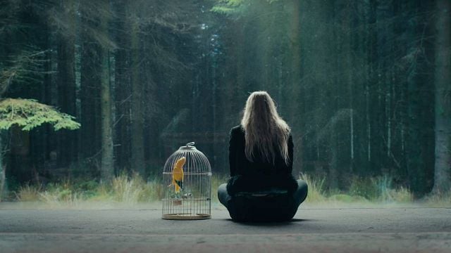 El cuento de fantasía, terror y suspense de Shyamalan: 'Los vigilantes', un potente relato en atmósfera y estética noticias imagen