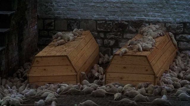 "Todo lo que hace este tipo es increíble": la película de terror de 2024 que ha impresionado a Martin Scorsese noticias imagen