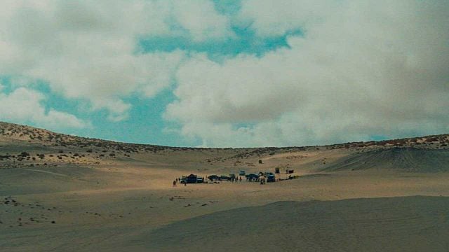 Steven Spielberg ya ha visto una de las mejores películas españolas del año y le "ha encantado": "Es absolutamente dolorosa" noticias imagen