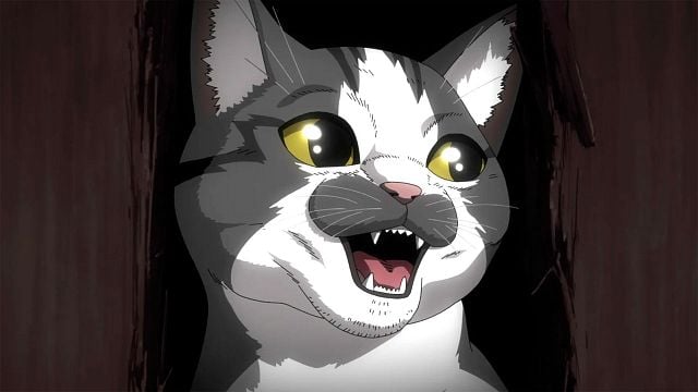 30 estrenos en la temporada de verano 2025 de Crunchyroll: Tres de los regresos más esperados del anime y un apocalipsis gatuno noticias imagen