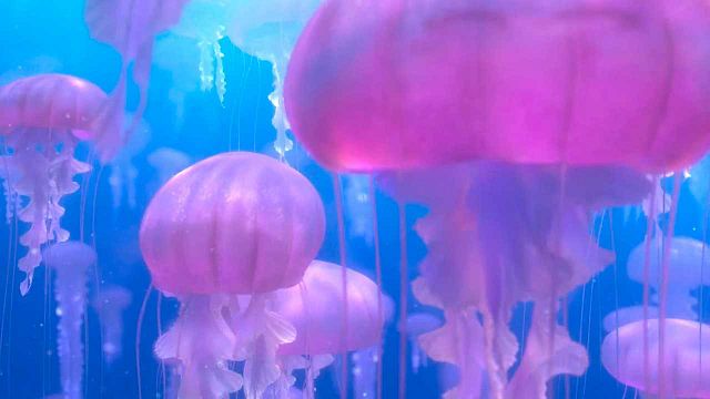 No esperaba que esta película de Pixar fuera tan científicamente precisa: "De 100 inexactitudes, solo una es un error real" noticias imagen