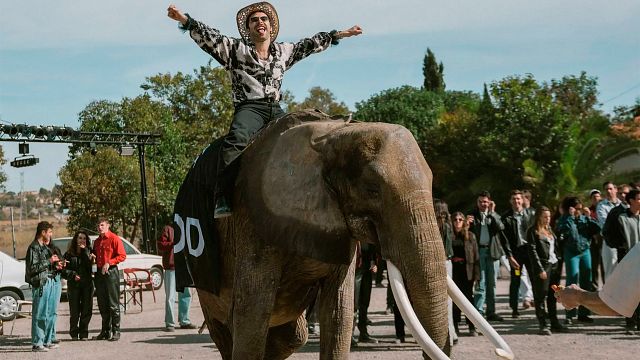 "Vosotros habéis traído un elefante, pero yo aquí puse tres": la anécdota real tras el elefante de 'La Ruta' noticias imagen