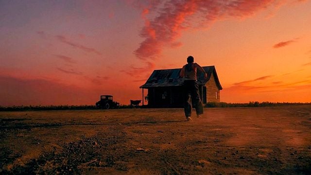 29 semanas después de su estreno en streaming, esta película ha vuelto a arrasar: todo el mundo quiere saber por qué ha hecho historia noticias imagen