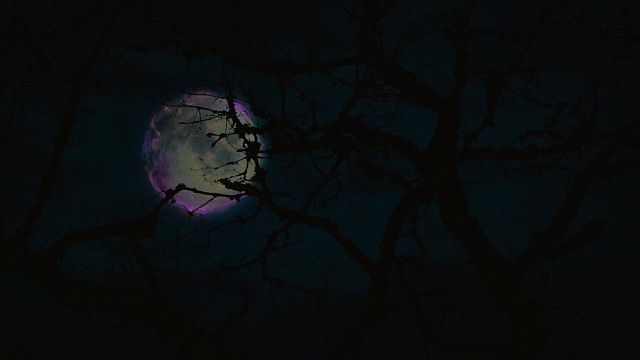 Nadie fue a verla, pero esta comedia de terror sólo dura hora y media y tiene un reparto descomunal noticias imagen