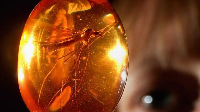 ‘Jurassic Park’ fue posible gracias a la ciencia. La película acabó haciendo posible investigaciones que siguen realizándose hoy día noticias imagen