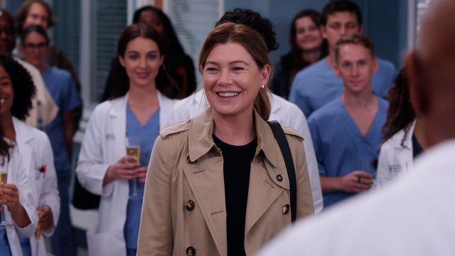 "Cierren ese hospital, POR FAVOR”: Por si quedaba alguna duda, 'Anatomía de Grey' renueva por una temporada 21 noticias imagen