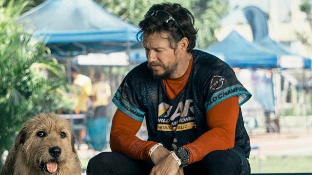 El perro que atravesó la jungla para encontrar un hogar: la historia real que Mark Wahlberg lleva al cine noticias imagen