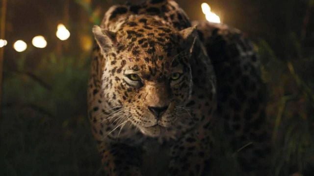 Hoy en Netflix: La película de aventuras que convirtió una serie muerta en una saga de mil millones de dólares noticias imagen