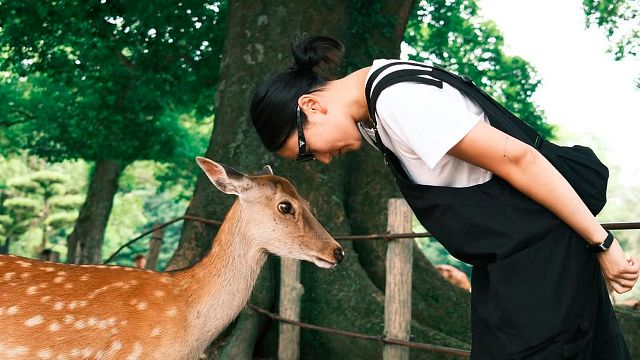 Quien es Yerin Ha, la nueva protagonista de 'Los Bridgerton': tiene 28 años y no tiene tan claro que esta serie vaya a cambiarle la vida noticias imagen