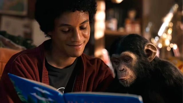 Paris Jackson, muy crítica con 'Michael', el biopic sobre su padre: "No es real. Pero te lo venden como si lo fuera" noticias imagen