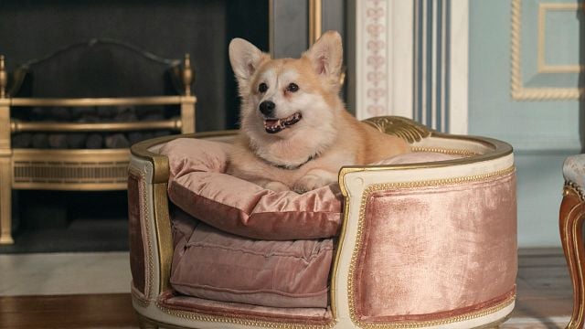 Uno de los grandes fenómenos de Netflix sigue expandiéndose con una nueva serie noticias imagen