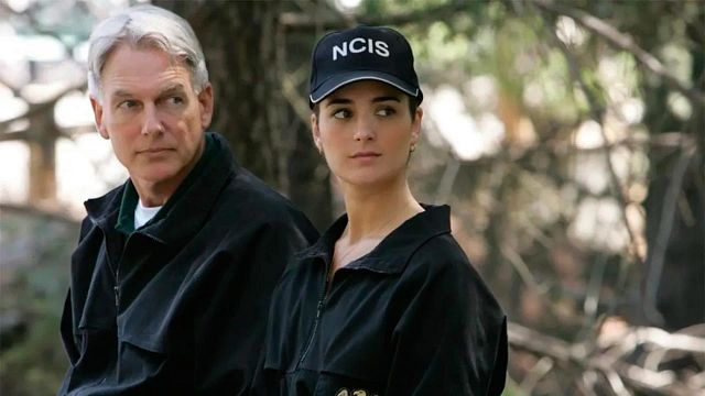 El actor de 'NCIS' que perdió a su pareja en la serie y optó por la espantada: "Sentí que me había quedado en la fiesta demasiado tiempo" noticias imagen