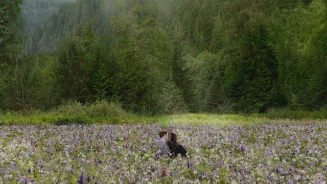 Soñó que dos personas discutían en un prado y escribió un libro: Se convirtió en una saga de películas de fantasía de más de 3.000 millones que ahora regresa al cine noticias imagen