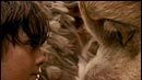 Tráiler de 'Where The Wild Things Are' noticias imagen