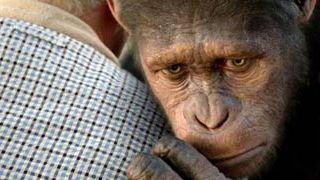 Clip extendido de 'El origen del planeta de los simios' noticias imagen