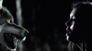 CW lanza un sexy tráiler de 'Crónicas Vampíricas' en pantalla grande para atraer a los fans de 'Crepúsculo' noticias imagen