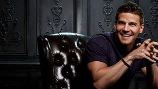 'Bones' pasa a los lunes en Fox EE UU y volverá al final el 2 de abril noticias imagen