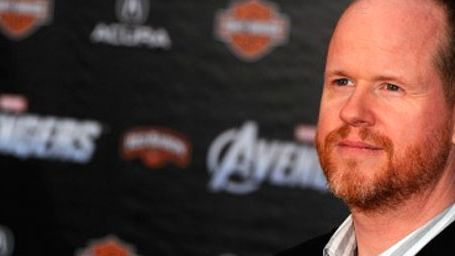 'Los Vengadores 2': Joss Whedon asegura que la trama de la segunda parte será "más compleja" noticias imagen