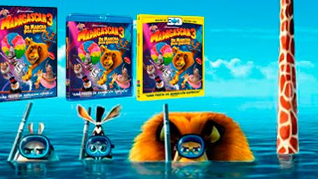 ¿Os gustó Madagascar 3? ¡Regalamos la película en DVD! noticias imagen