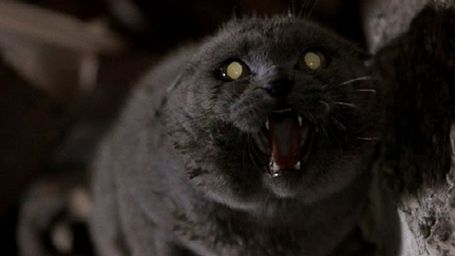 Juan Carlos Fresnadillo realizará un remake de 'Pet Sematary' noticias imagen
