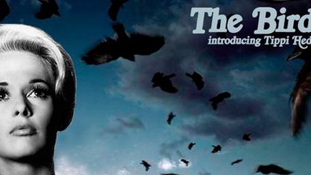 El 'remake' de 'Los pájaros' de Alfred Hitchcock ya tiene director noticias imagen