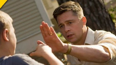 Siete Palmas de Oro que no puedes perderte noticias imagen