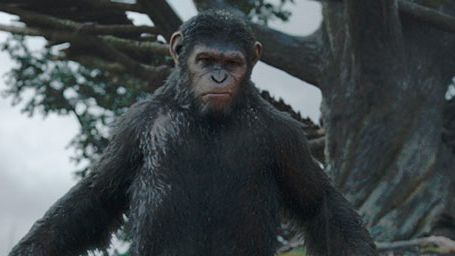 'El amanecer del planeta de los simios': nuevo tráiler internacional con escenas inéditas noticias imagen
