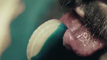 'American Horror Story: Freak Show' lanza su segundo 'teaser' oficial noticias imagen