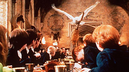 'Harry Potter': Un tribunal francés exonera al criador de unos búhos que participaron en 'La Piedra Filosofal' noticias imagen