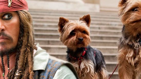'Piratas del Caribe 5': Johnny Deep podría ir a la cárcel por introducir ilegalmente a sus perros en Australia noticias imagen