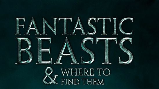 'Animales fantásticos y dónde encontrarlos': Dan Fogler será un 'muggle' en el 'spin-off' de 'Harry Potter' noticias imagen