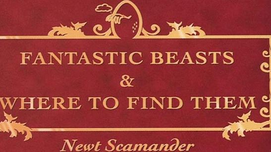 'Animales fantásticos y dónde encontrarlos': 6 detalles sobre el 'spin-off' de 'Harry Potter'