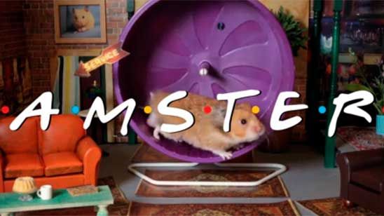 'Friends': Los hamsters protagonizan una nueva versión del opening noticias imagen