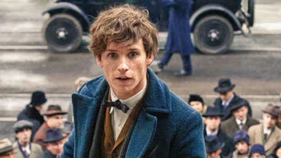 'Animales fantásticos y dónde encontrarlos': Nueva imagen de Eddie Redmayne como Newt Scamander noticias imagen