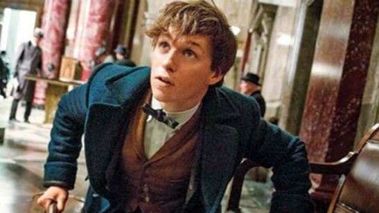 'Animales fantásticos y dónde encontramos': Nueva imagen con Newt Scamander, Tina y Jacob Kowalski