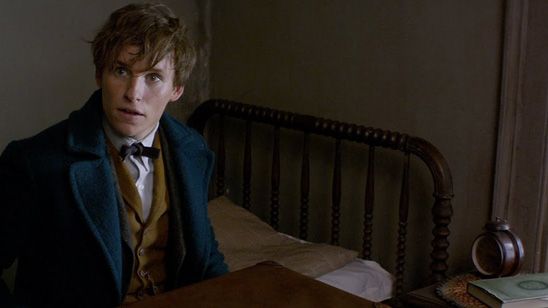 'Animales fantásticos y dónde encontrarlos': ¿Cómo surgió la idea del 'spin-off'? noticias imagen