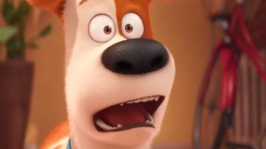 'Mascotas': ¡Conoce a los personajes de la película! noticias imagen