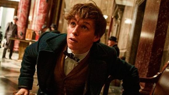 'Animales fantásticos y dónde encontrarlos': ¿Quién debería ser el compositor de la película? noticias imagen