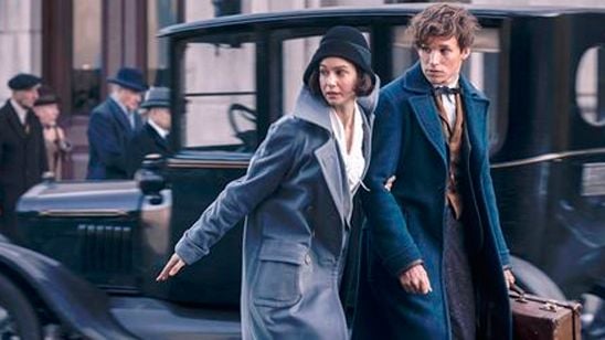 'Animales fantásticos y dónde encontrarlos': Eddie Redmayne habla del "divertido" y "romántico" guion de J.K. Rowling noticias imagen