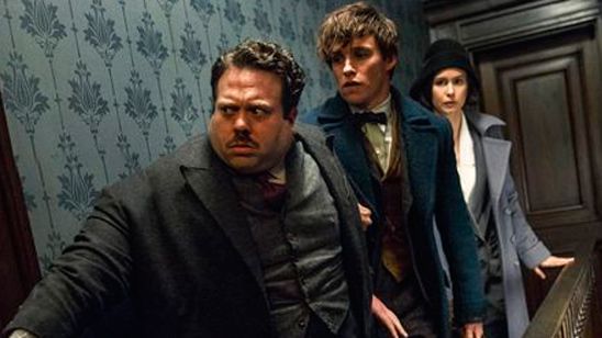 J.K. Rowling confirma en Twitter que 'Animales fantásticos y dónde encontrarlos' será una trilogía noticias imagen