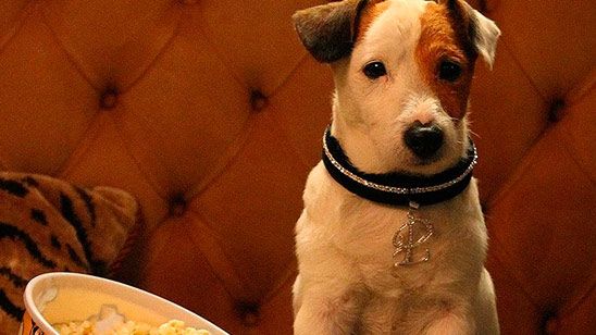 Muere Cook, el Valentín de 'Aquí no hay quien viva' noticias imagen