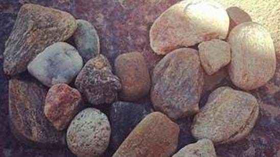 'Juego de Tronos': George R.R. Martin confirma que Lady Corazón de Piedra no aparecerá en la serie noticias imagen